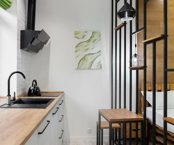 Leogrand Loft-studio On Husiak 8